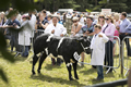 Malton Show 2017