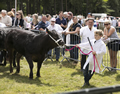 Malton Show 2017