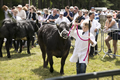 Malton Show 2017