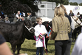 Malton Show 2017