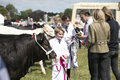 Malton Show 2017