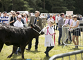 Malton Show 2017