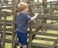 Malton Show 2017