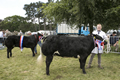 Malton Show 2017