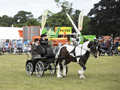 Malton Show 2017