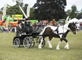 Malton Show 2017