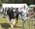 Malton Show 2017