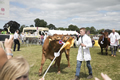 Malton Show 2017