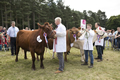 Malton Show 2017