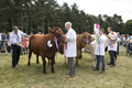 Malton Show 2017