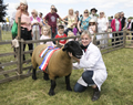 Malton Show 2017