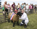 Malton Show 2017