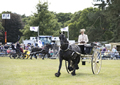 Malton Show 2017