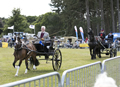 Malton Show 2017