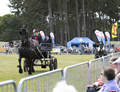 Malton Show 2017