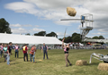 Malton Show 2017