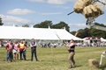 Malton Show 2017