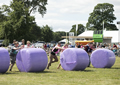 Malton Show 2017