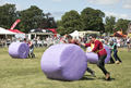 Malton Show 2017