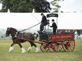 Malton Show 2017