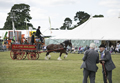 Malton Show 2017