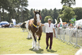 Malton Show 2017