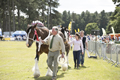 Malton Show 2017