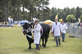 Malton Show 2017