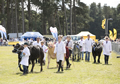 Malton Show 2017