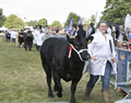 Malton Show 2017