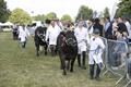 Malton Show 2017