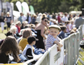 Malton Show 2017