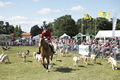 Malton Show 2017