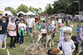 Malton Show 2017