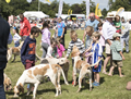 Malton Show 2017