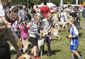 Malton Show 2017