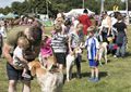 Malton Show 2017