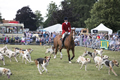 Malton Show 2017