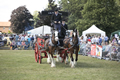 Malton Show 2017