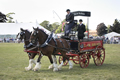 Malton Show 2017