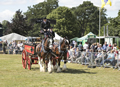 Malton Show 2017