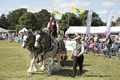 Malton Show 2017