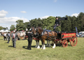 Malton Show 2017