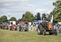 Malton Show 2017