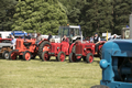 Malton Show 2017