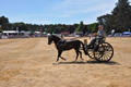 Malton Show 2018