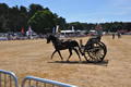 Malton Show 2018