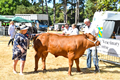 Malton Show 2018