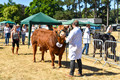 Malton Show 2018