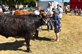 Malton Show 2018